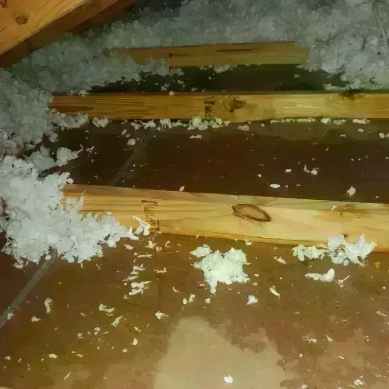 Attic Water Damage in Salina, KS