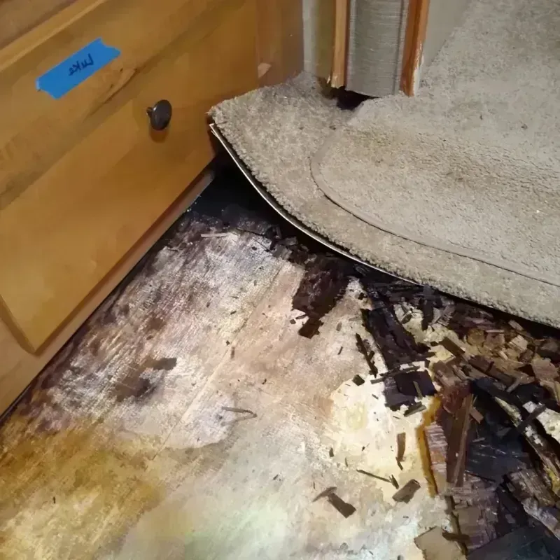 Wood Floor Water Damage in Salina, KS